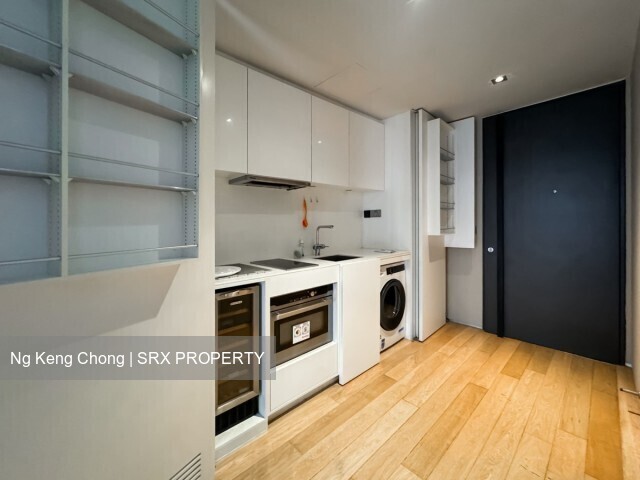 Skysuites@Anson (D2), Apartment #558185251